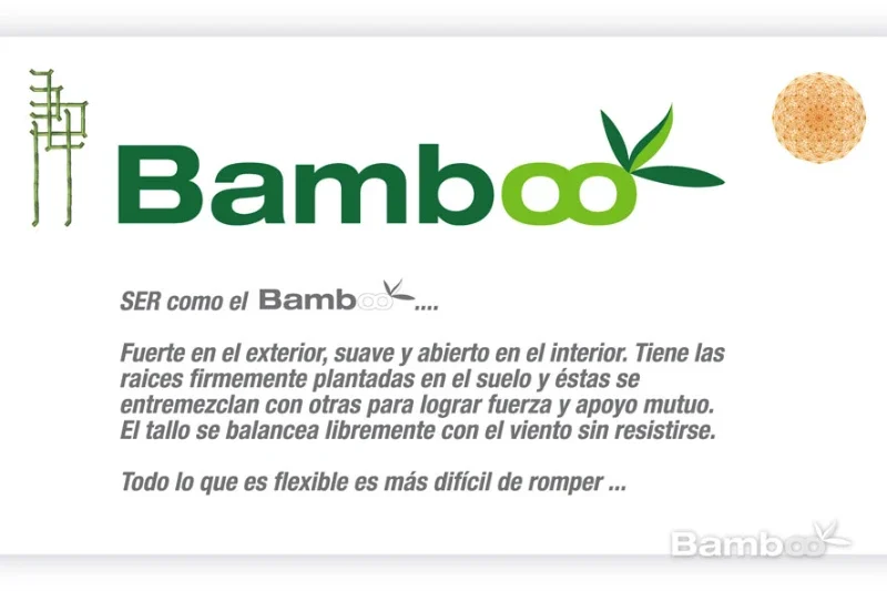espacio-bamboo-1