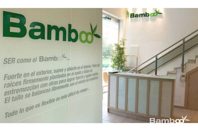 espacio-bamboo-3